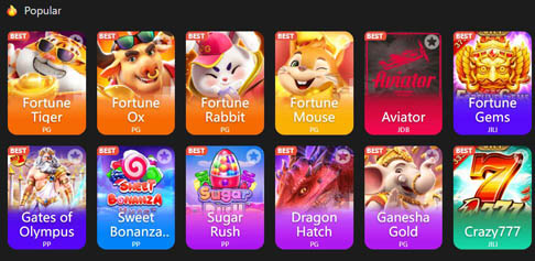 Developer options traduzir