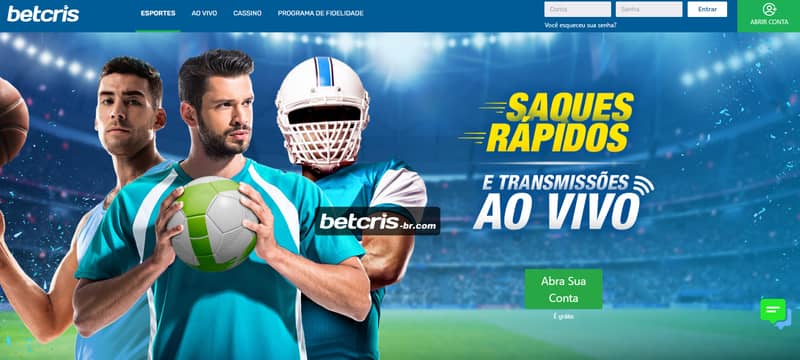 Hoffenheim x borussia